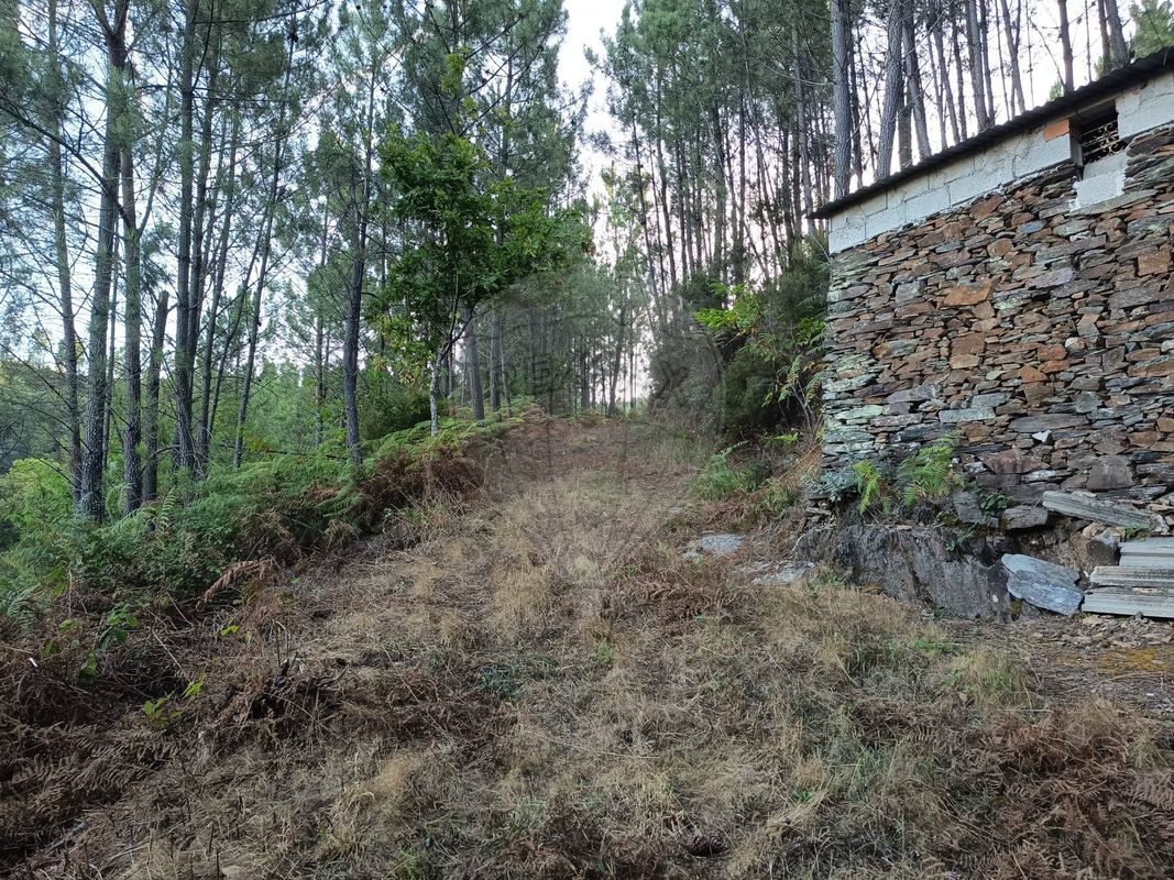 Terreno  para venda