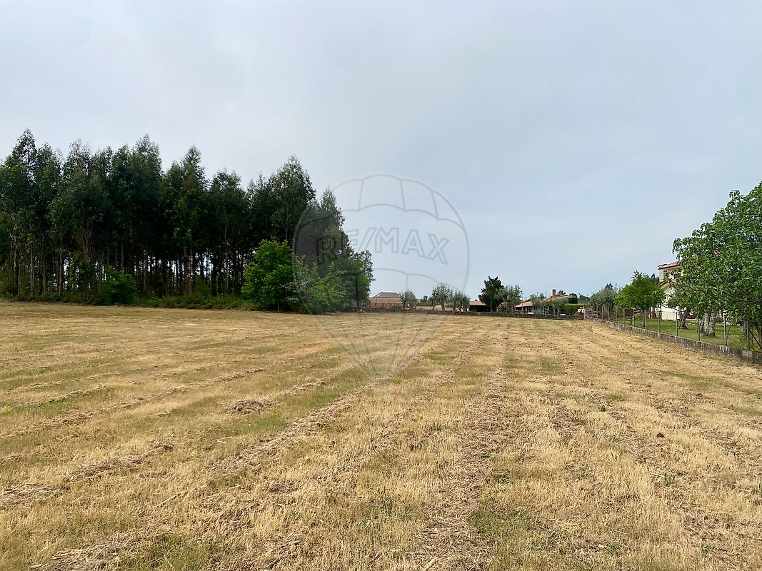 Terreno - Tourais e Lajes, Seia, Guarda