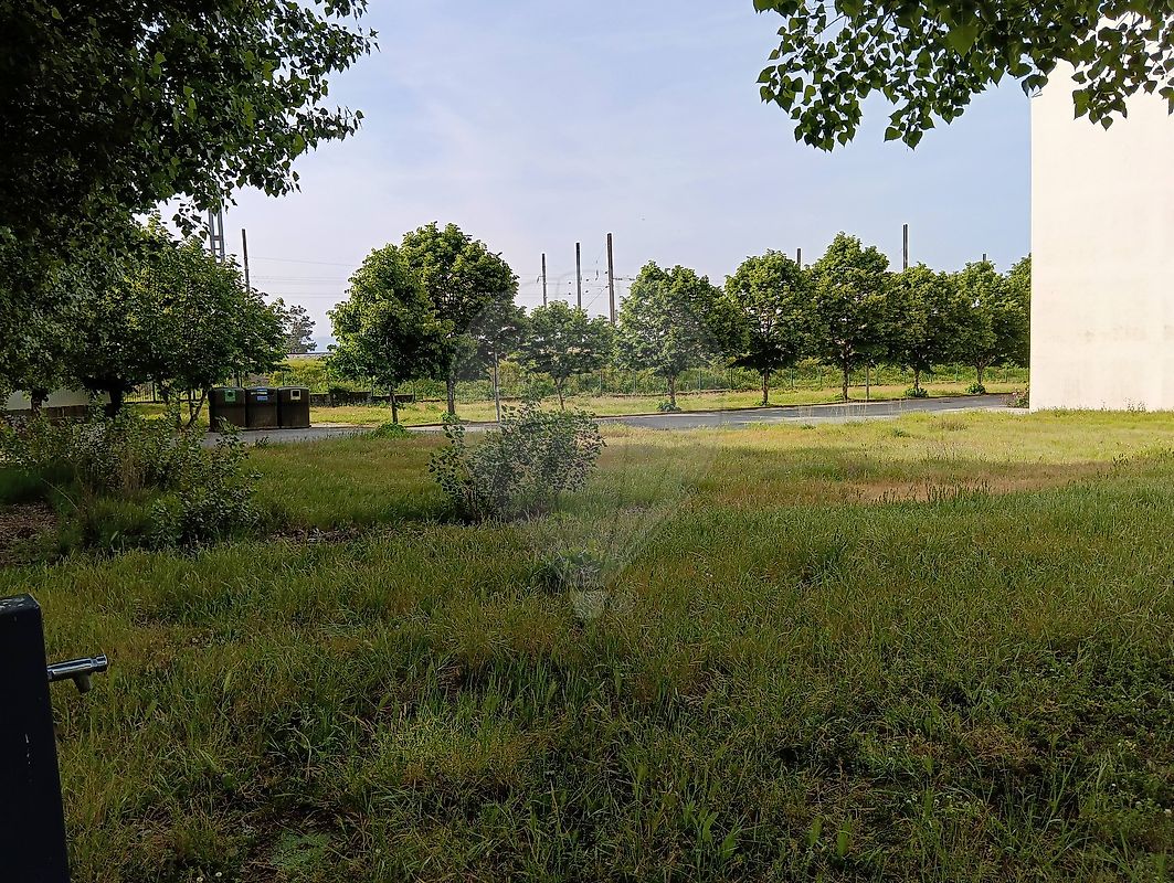 Terreno - Nelas, Nelas, Viseu