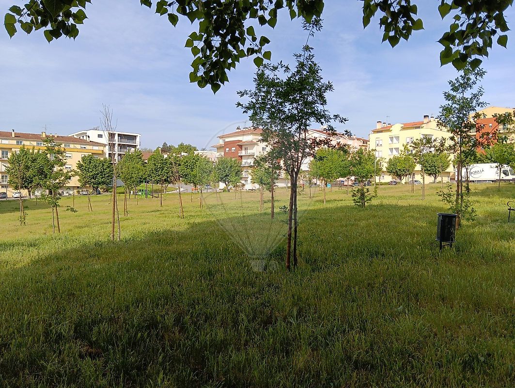 Terreno - Nelas, Nelas, Viseu