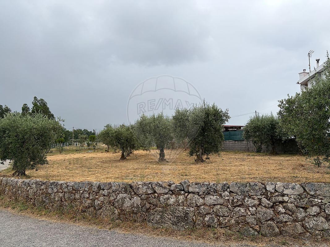 Terreno - Santa Ovaia e Vila Pouca da Beira, Oliveira do Hospital, Coimbra