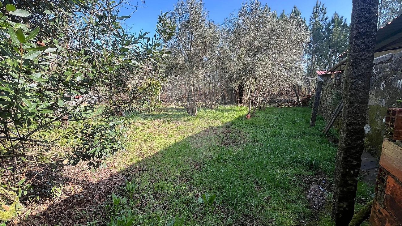 Moradia T3 à venda em Serrazes, São Pedro do Sul — foto 14