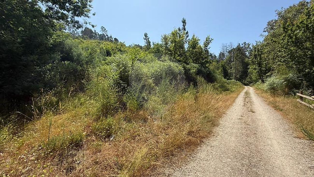 Terreno para venda