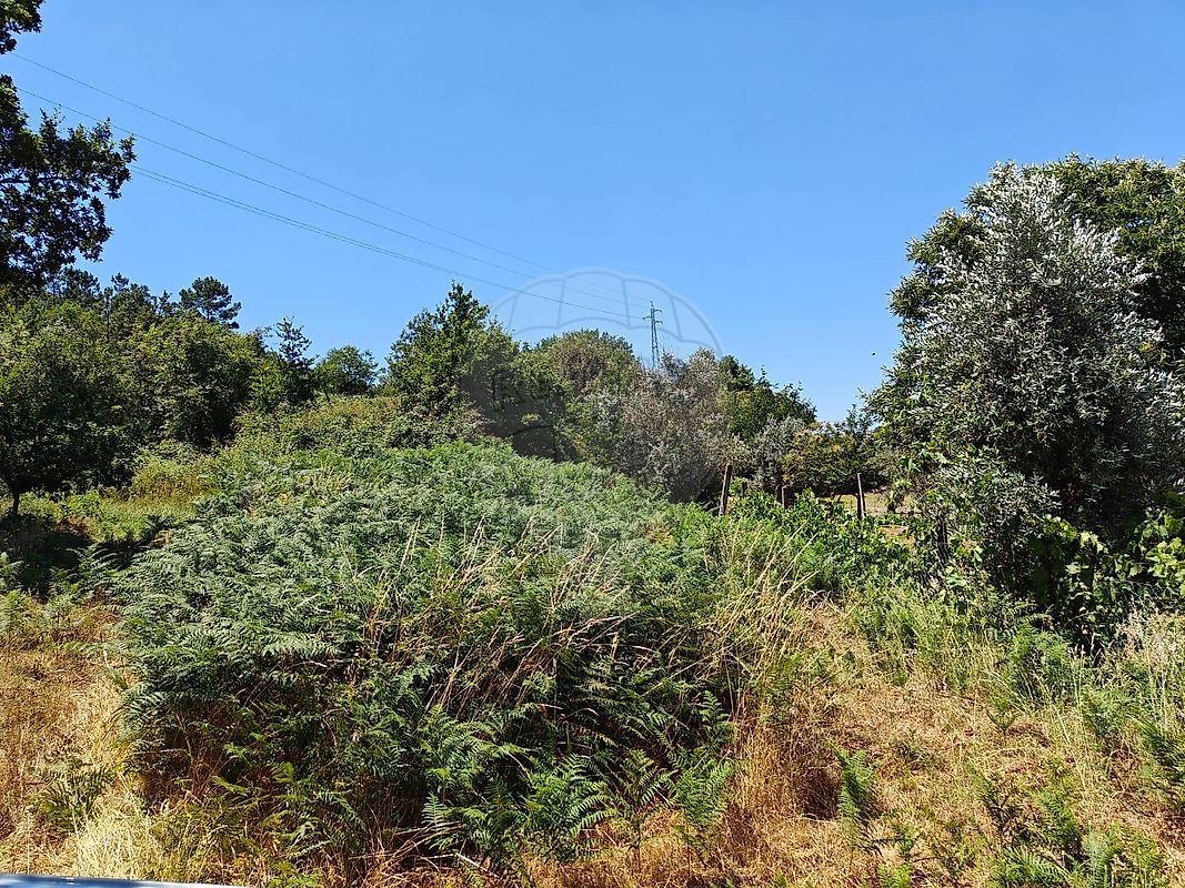 Terreno  para venda