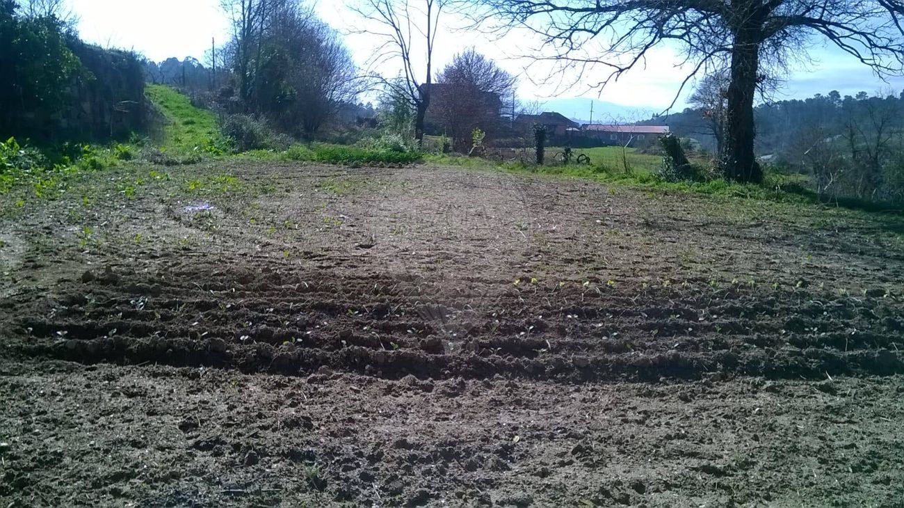 Terreno para venda