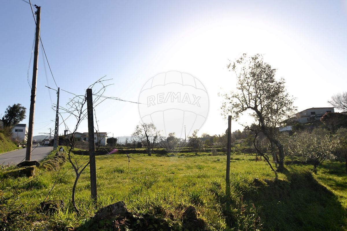 Terreno - Arcozelo das Maias, Oliveira de Frades, Viseu