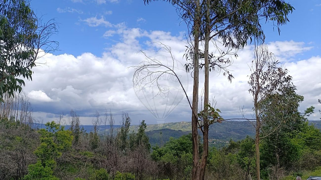 Terreno - São Martinho das Moitas e Covas do Rio, São Pedro do Sul, Viseu