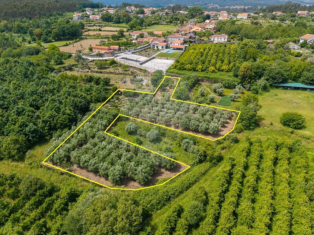 Terreno - Serrazes, São Pedro do Sul, Viseu
