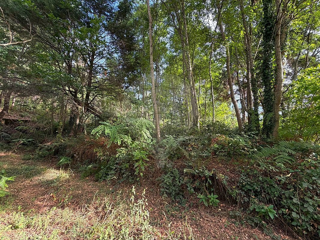 Terreno - Sul, São Pedro do Sul, Viseu