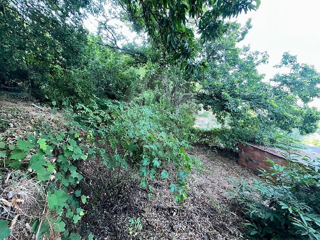 Moradia T3 à venda em Sul, São Pedro do Sul — foto 6