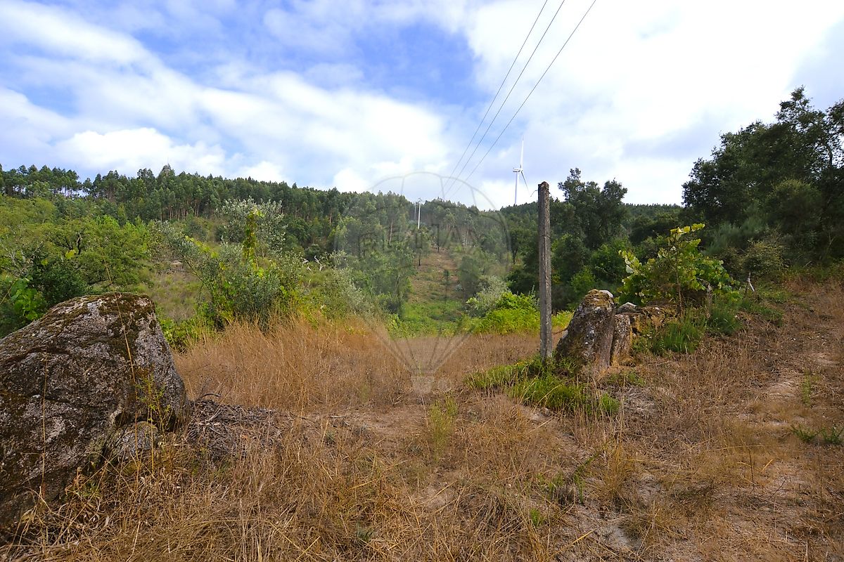 Moradia T3 à venda em Pinheiro, Oliveira de Frades — foto 15