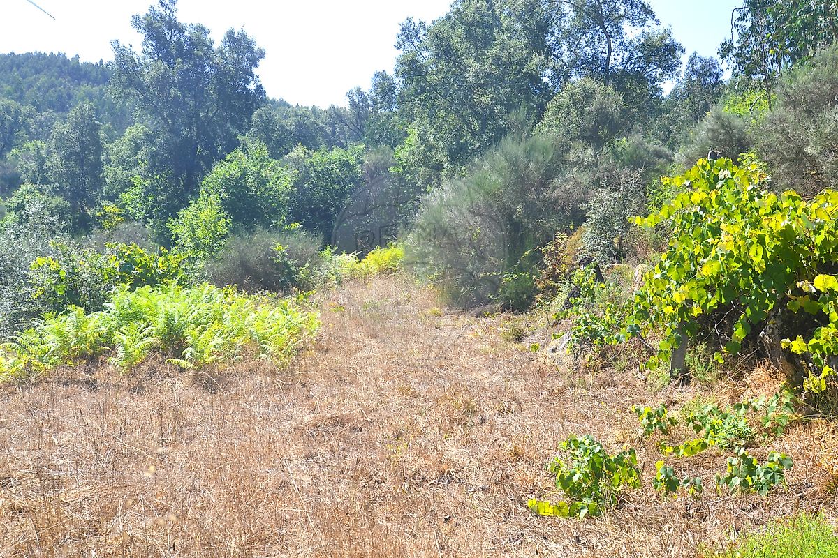 Moradia T3 à venda em Pinheiro, Oliveira de Frades — foto 19