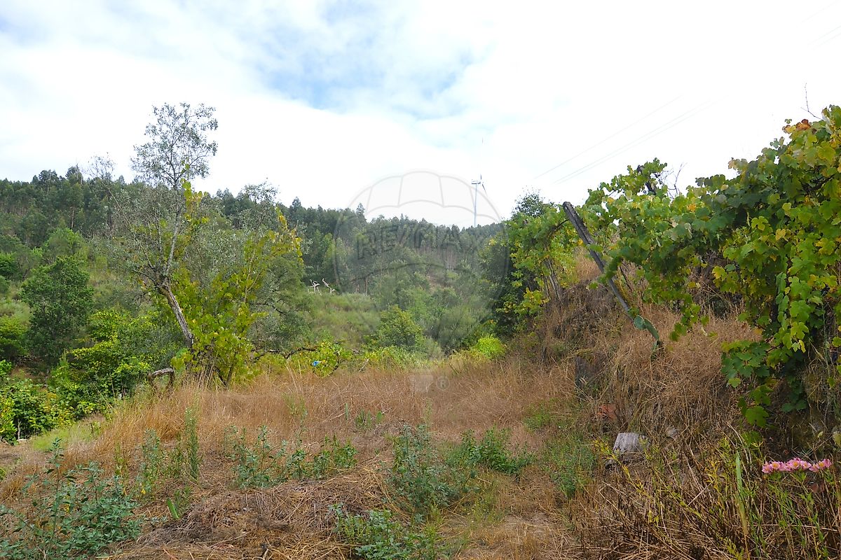 Moradia T3 à venda em Pinheiro, Oliveira de Frades — foto 14