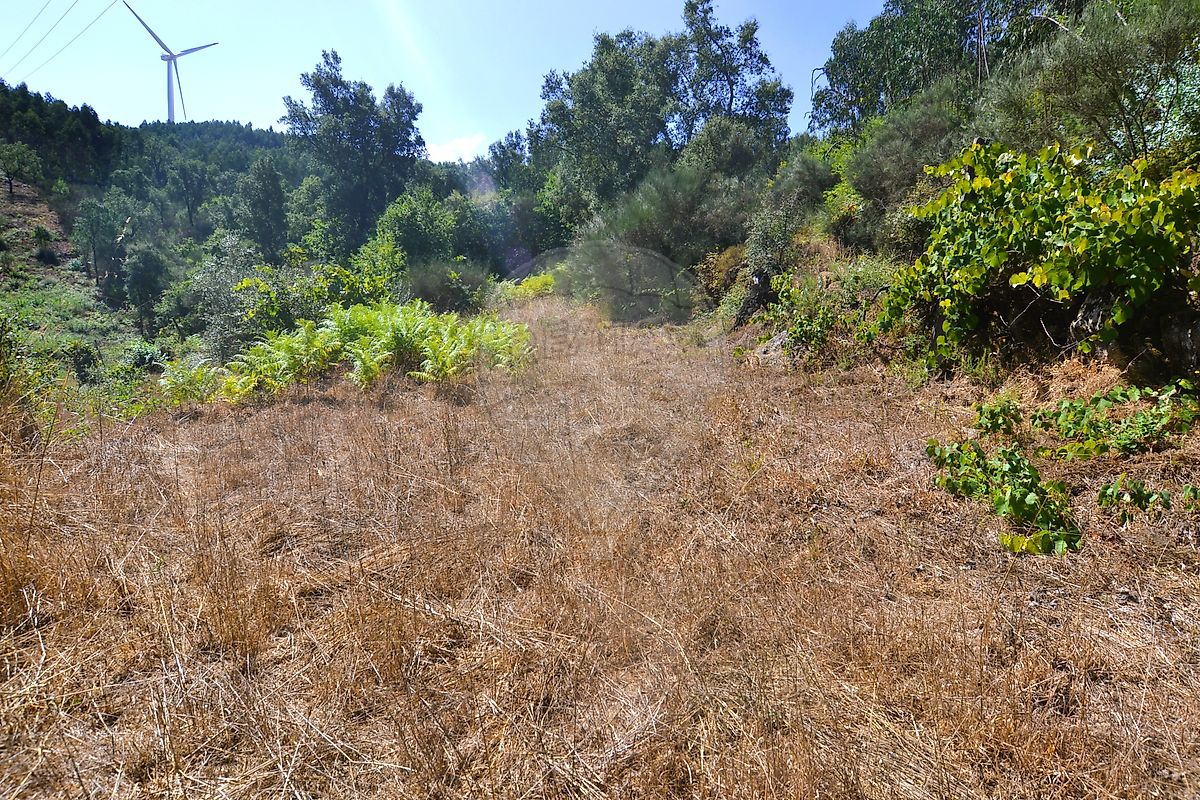 Moradia T3 à venda em Pinheiro, Oliveira de Frades — foto 16