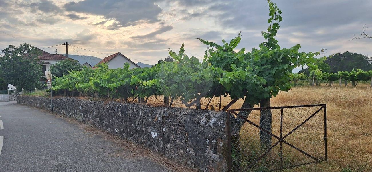 Terreno  para venda