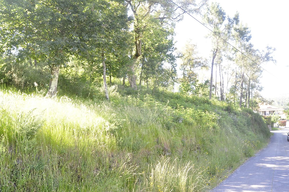 Terreno  para venda