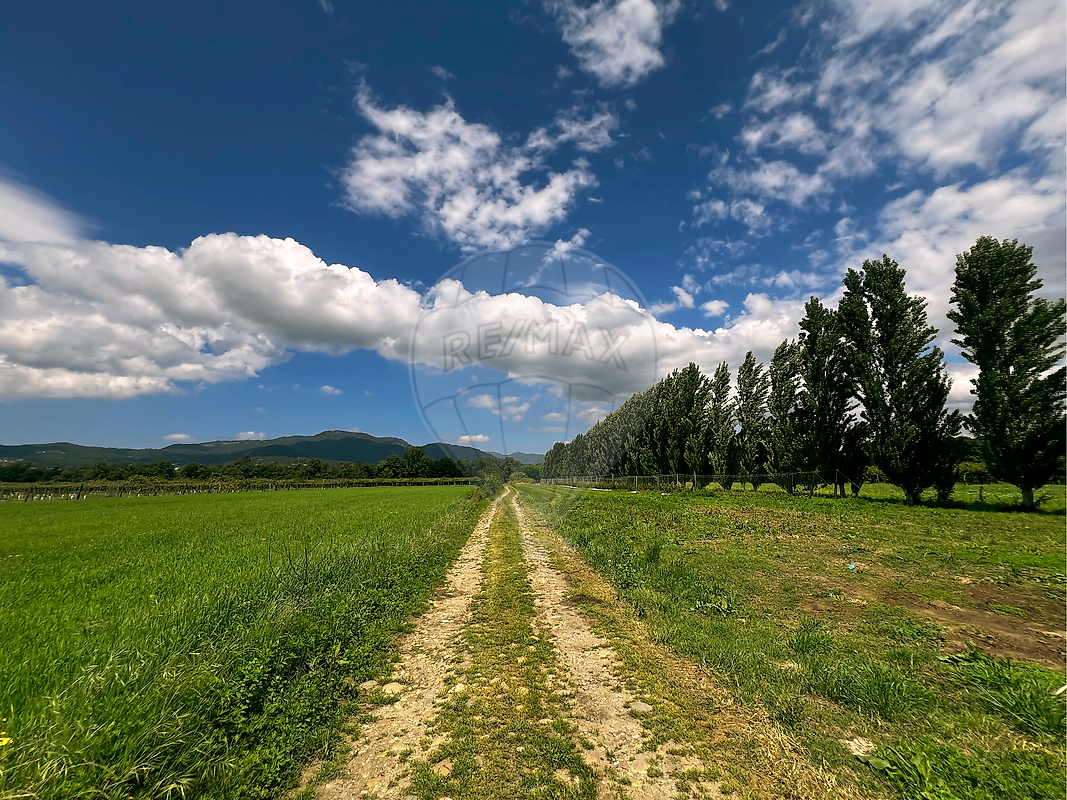 Terreno - Ganfei (São Salvador), Valença, Viana do Castelo