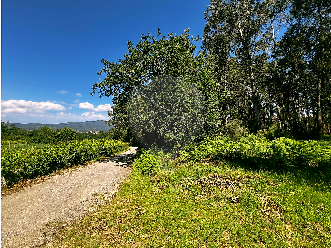 Terreno - Ganfei (São Salvador), Valença, Viana do Castelo
