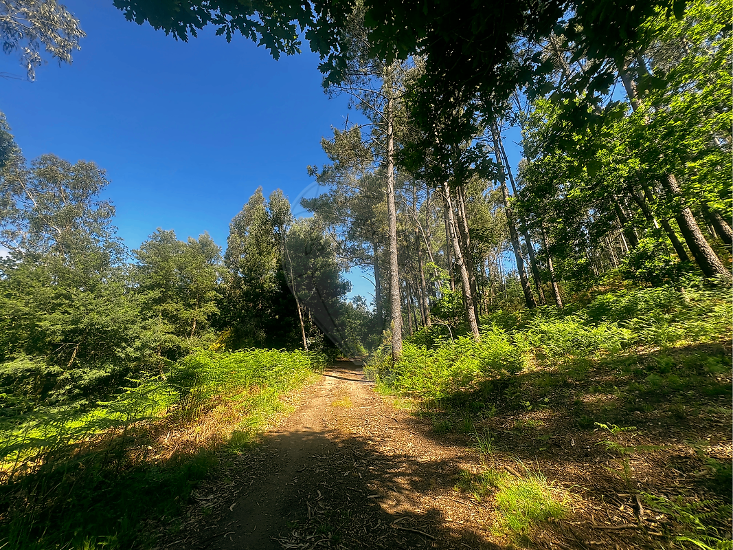 Terreno - Ganfei (São Salvador), Valença, Viana do Castelo