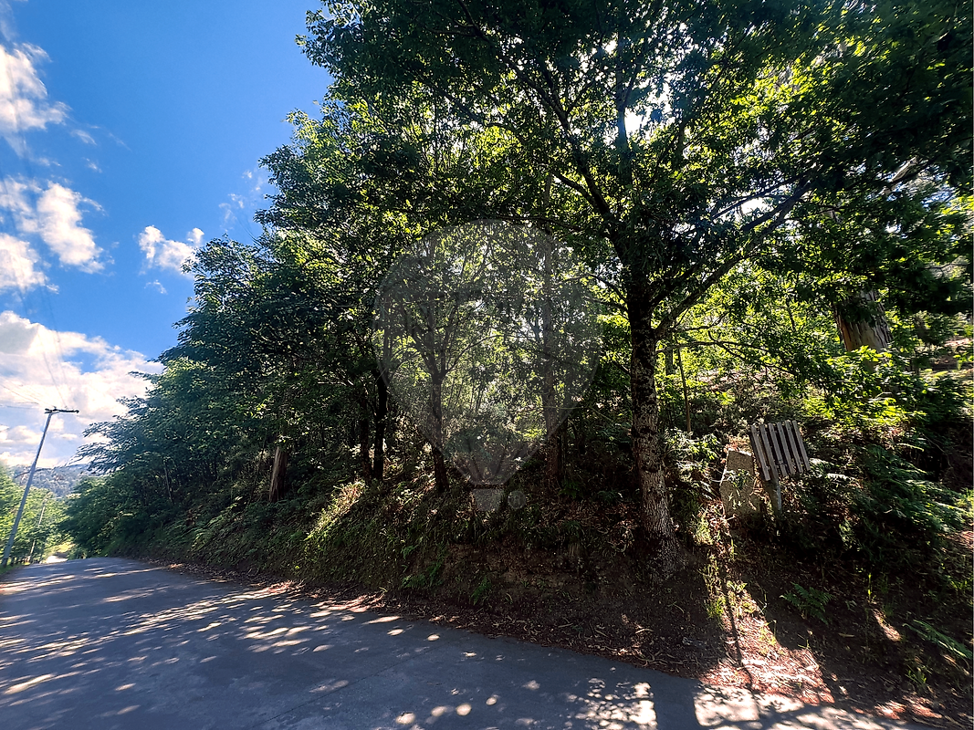 Terreno - Ganfei (São Salvador), Valença, Viana do Castelo