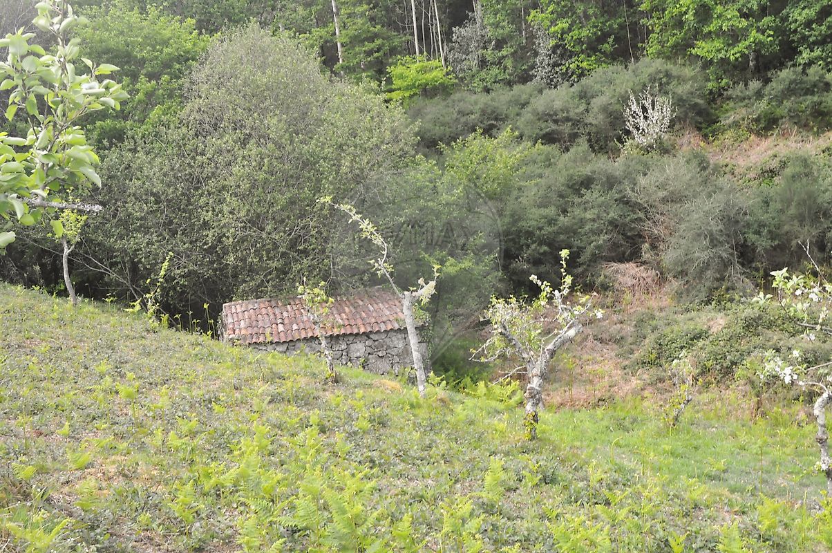Moradia T2 à venda em Castanheira, Paredes de Coura — foto 14