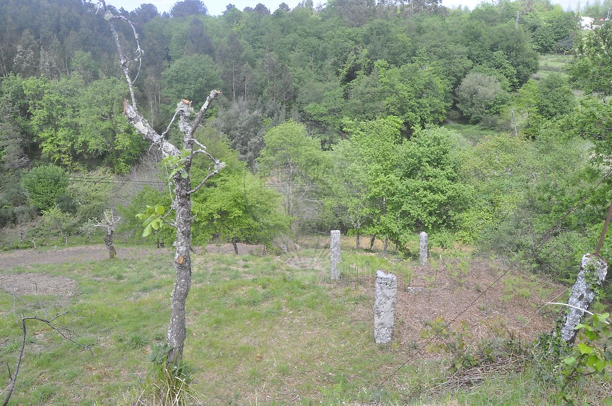 Moradia T2 à venda em Castanheira, Paredes de Coura — foto 8