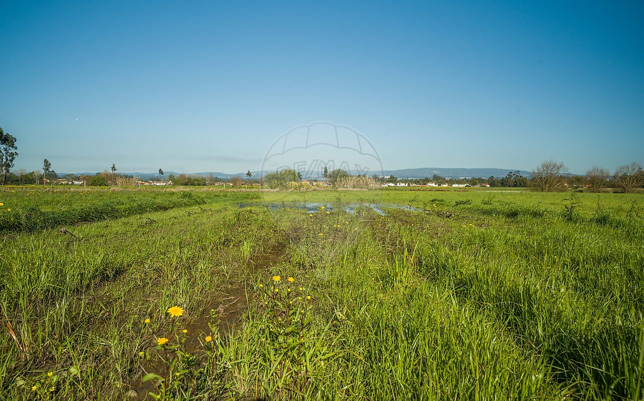 Terreno à venda em Murtosa