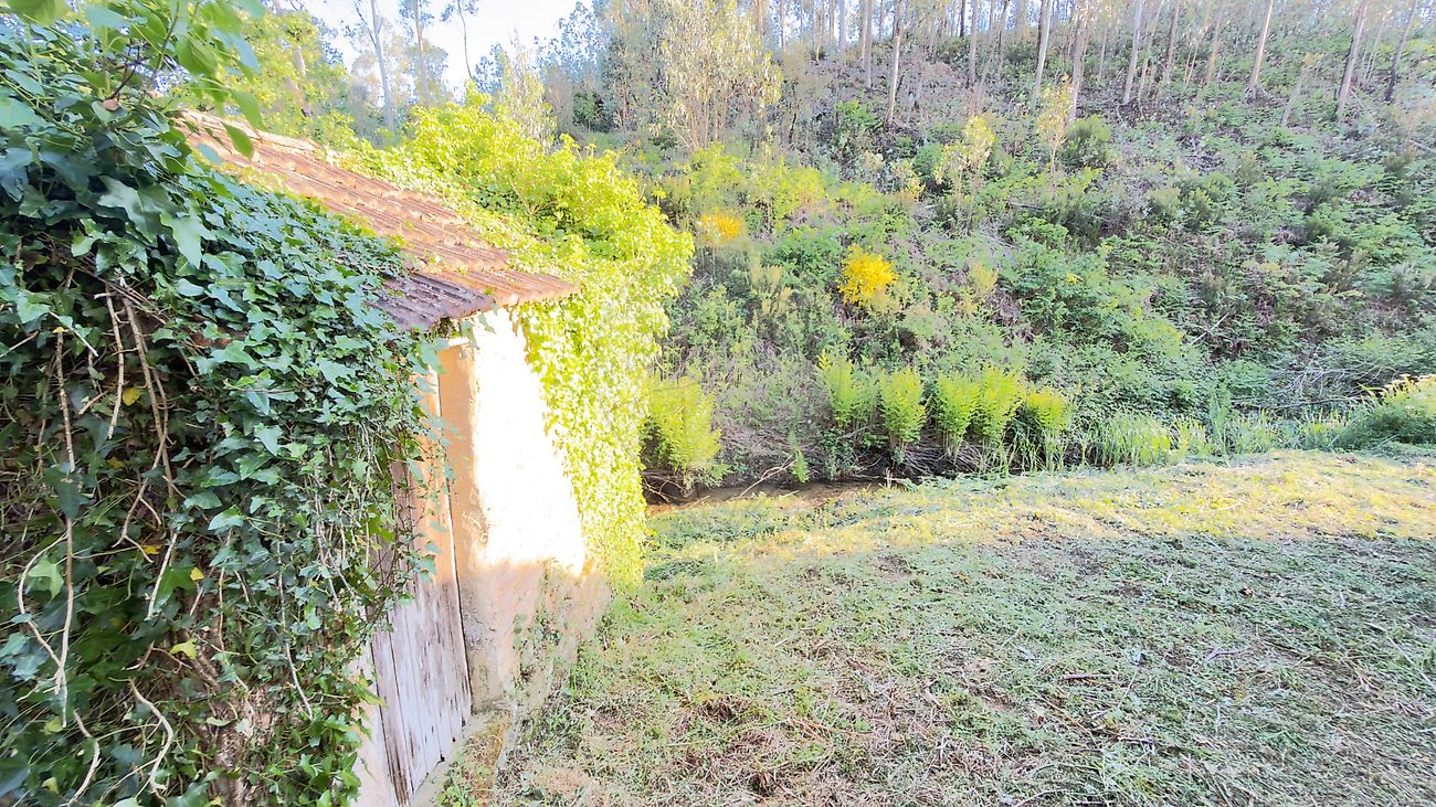 Moradia T2 à venda em Canelas e Fermelã, Estarreja — foto 17
