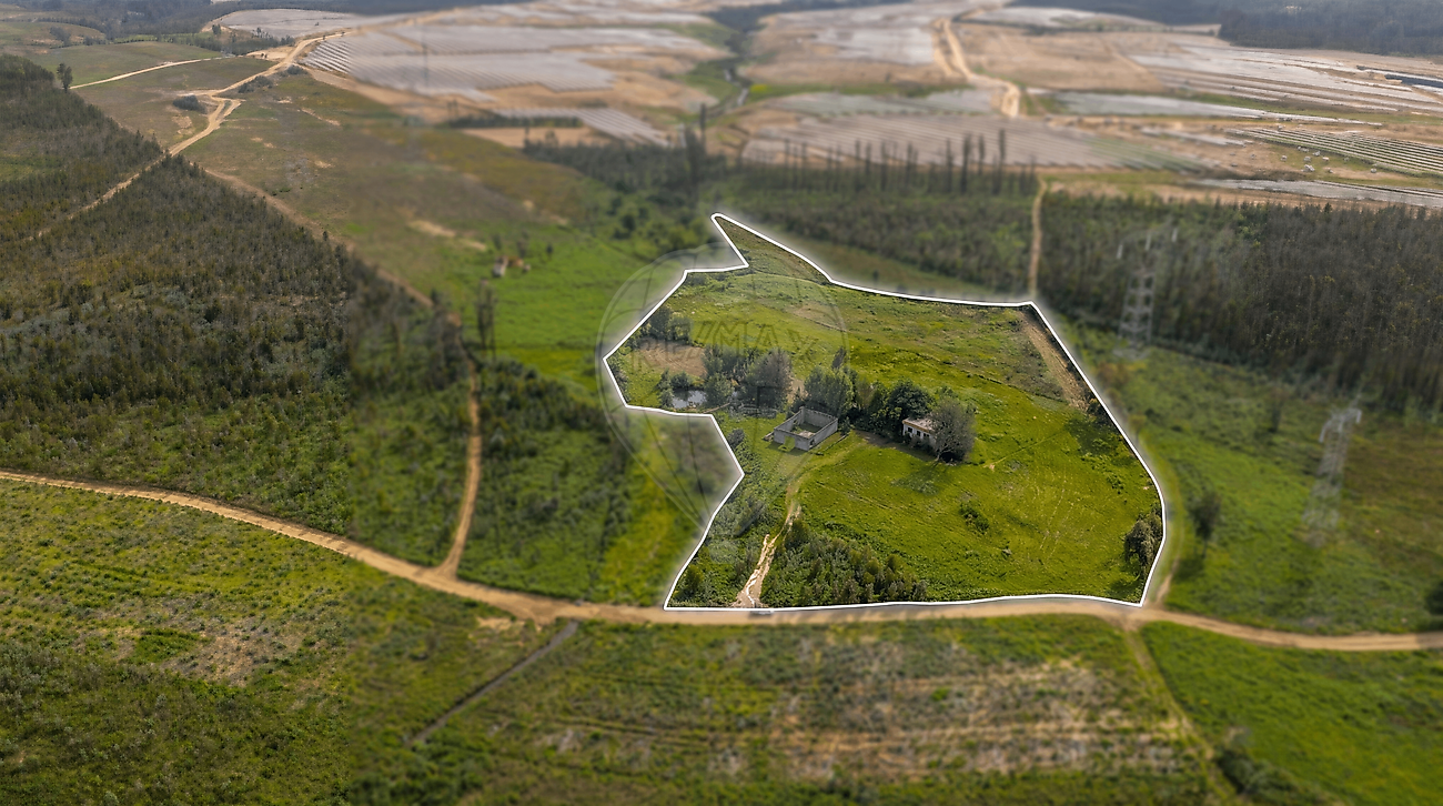 Terreno à venda em Albergaria-a-Velha