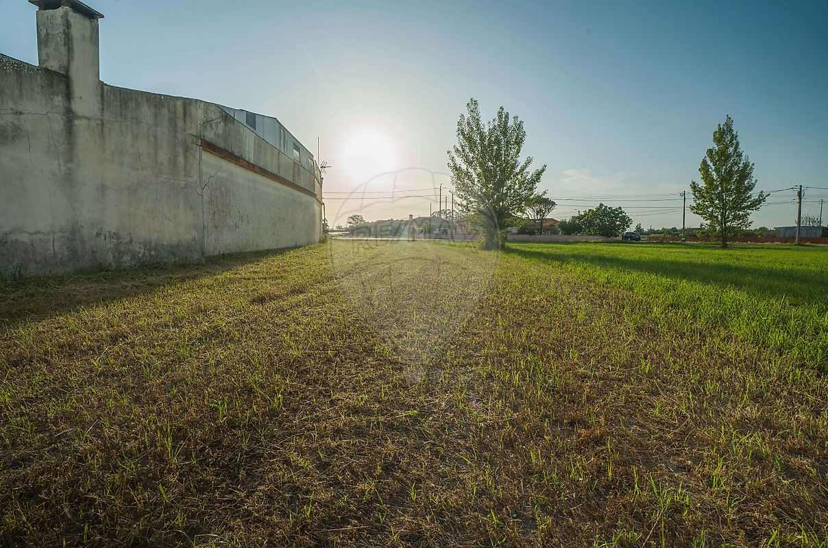 Terreno à venda em Murtosa