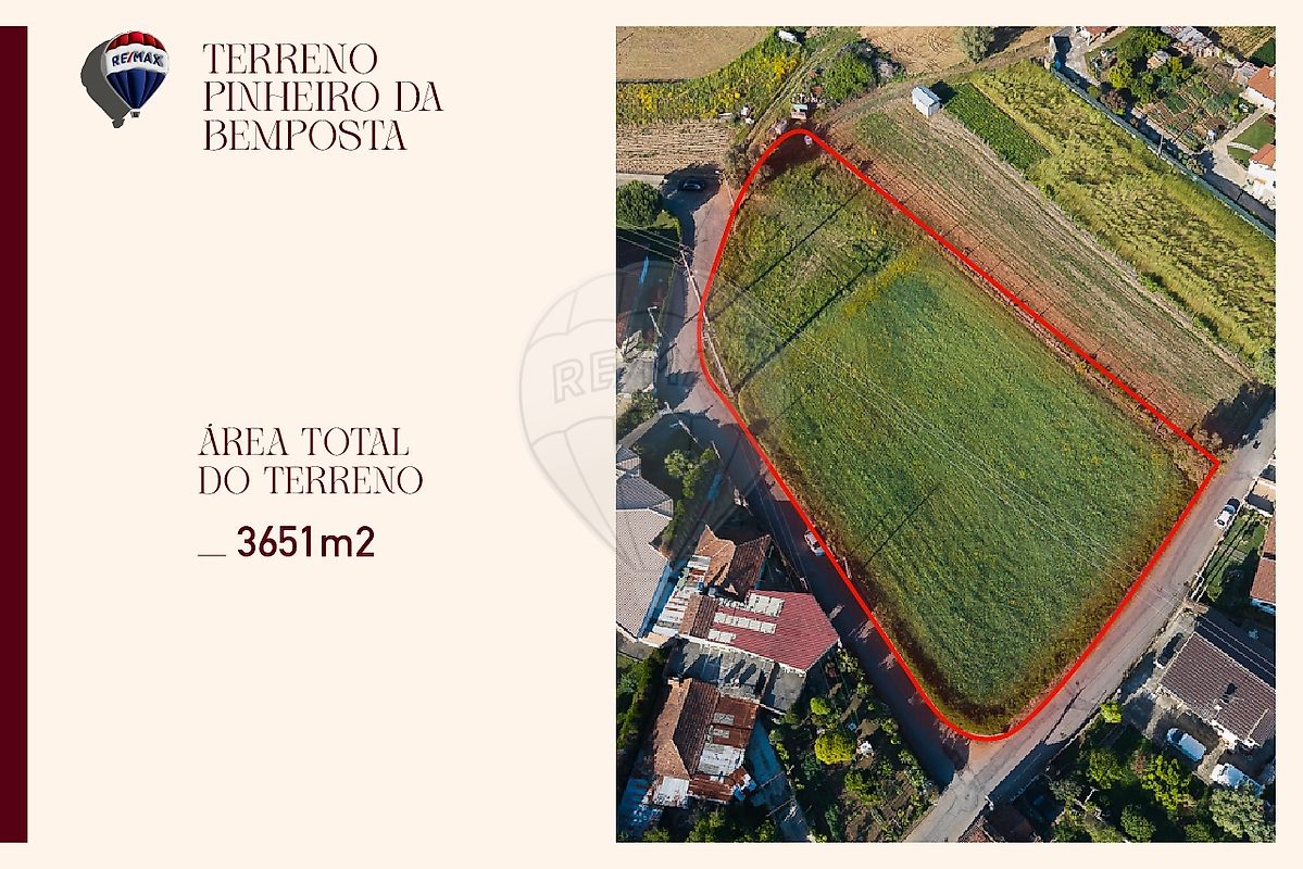 Terreno - Pinheiro da Bemposta, Travanca e Palmaz, Oliveira de Azeméis, Aveiro