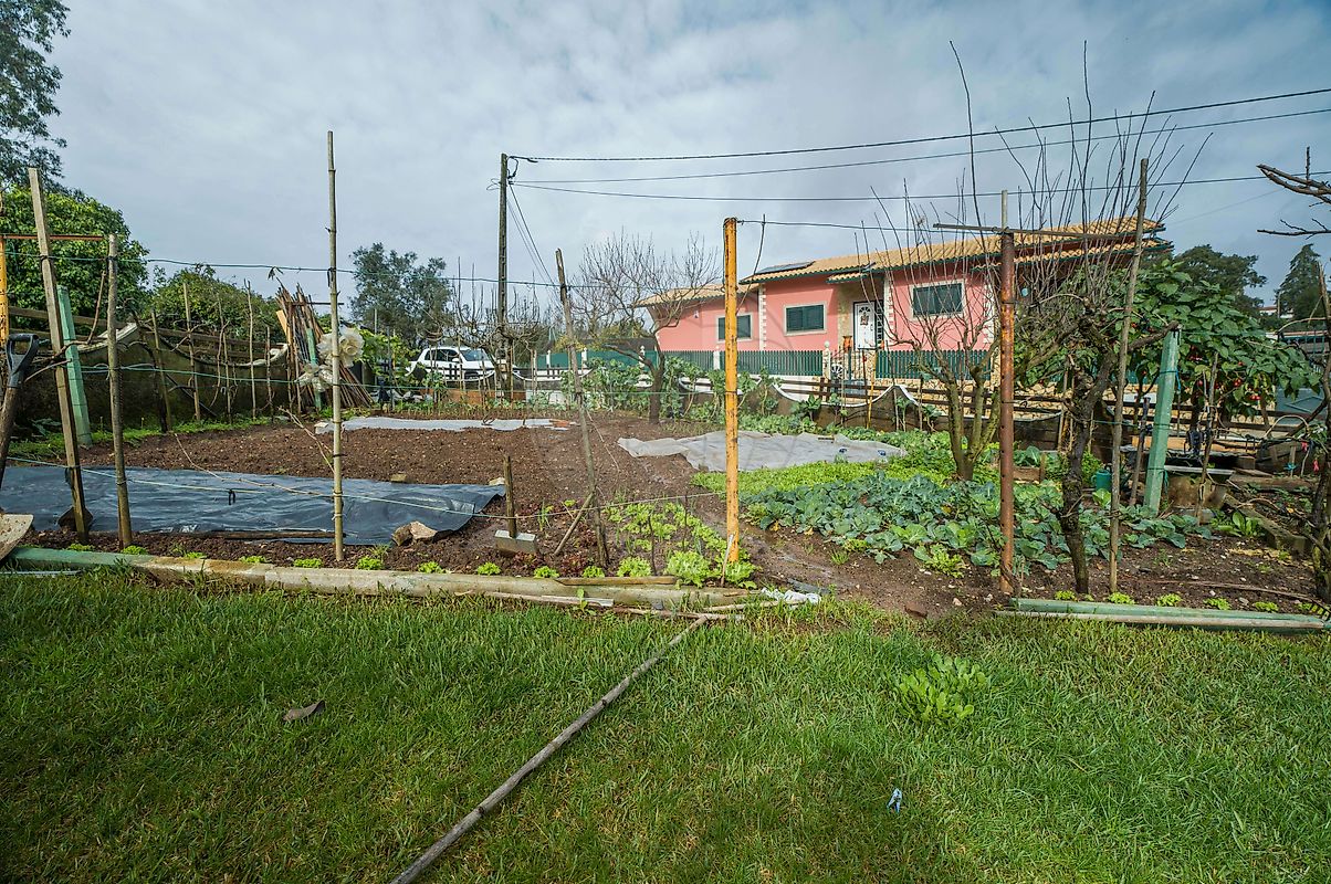 Moradia T4 à venda em Macinhata do Vouga, Águeda — foto 34