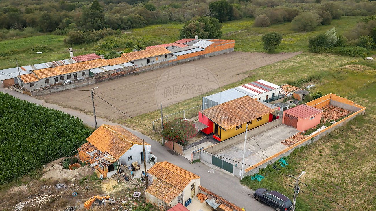 Moradia T1 à venda em Pardilhó, Estarreja — foto 3