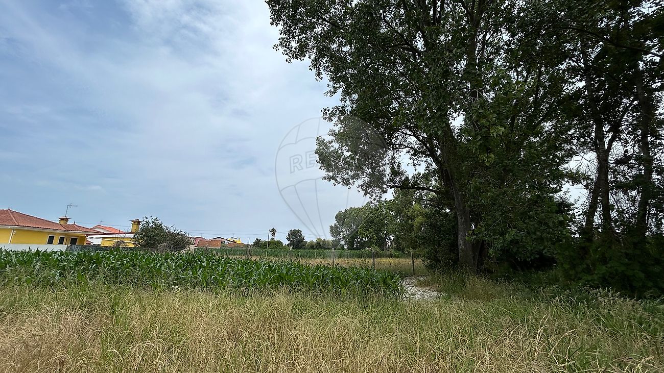 Terreno à venda em Estarreja