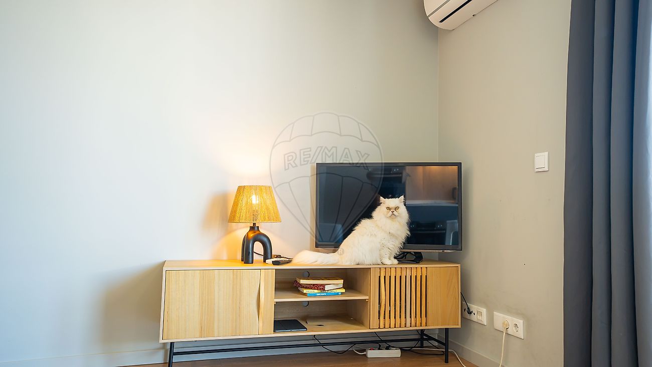 Apartamento T0 à venda em Glória e Vera Cruz, Aveiro — foto 8