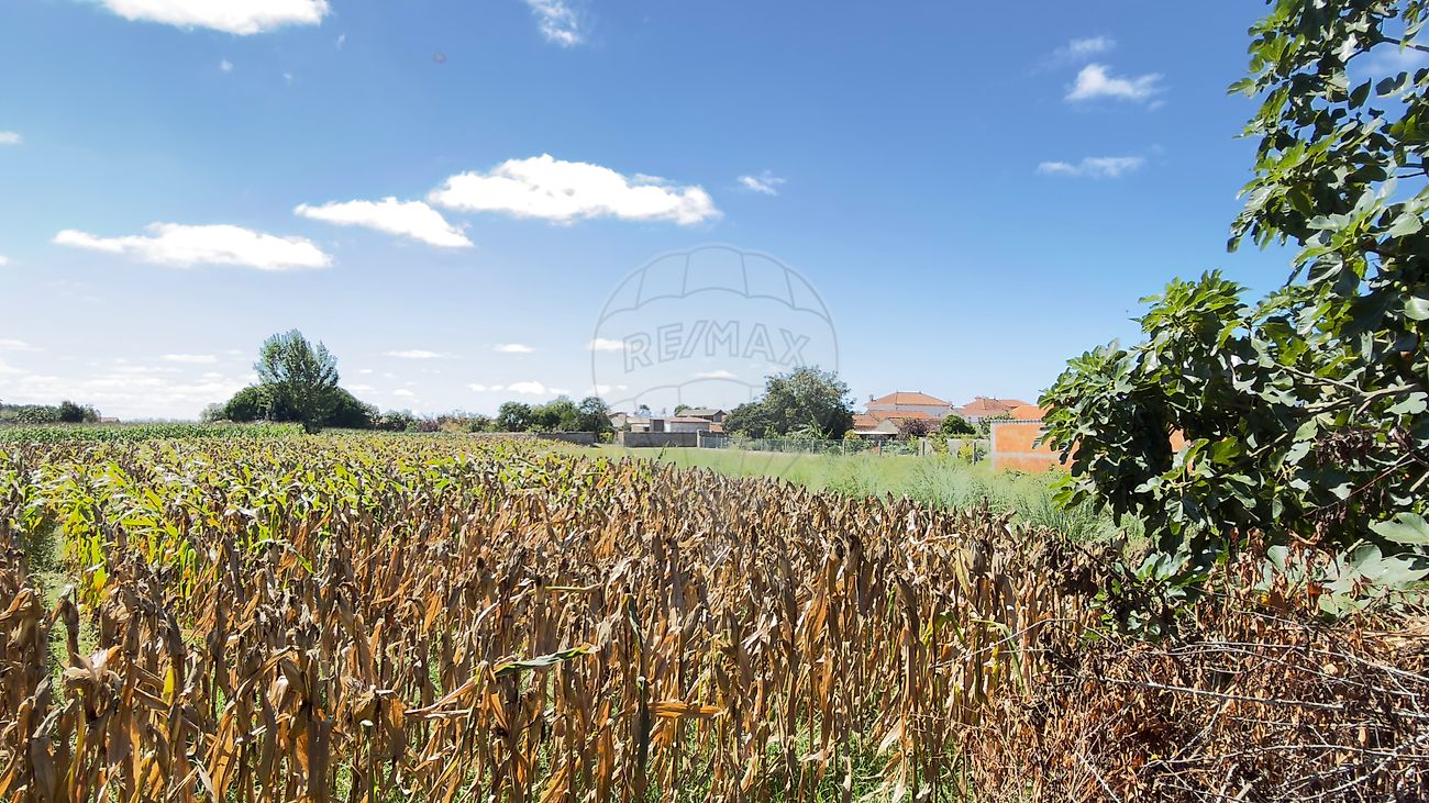 Moradia T3 à venda em Beduído e Veiros, Estarreja — foto 20