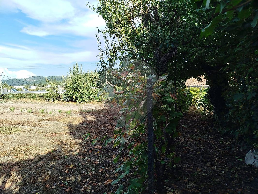 Moradia T6+ à venda em Tarouca e Dálvares, Tarouca — foto 34