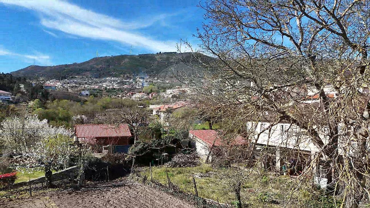Moradia T6+ à venda em Tarouca e Dálvares, Tarouca — foto 8