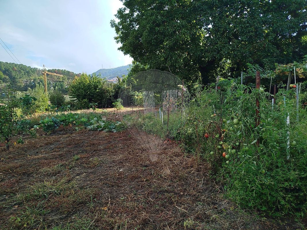 Moradia T6+ à venda em Tarouca e Dálvares, Tarouca — foto 28