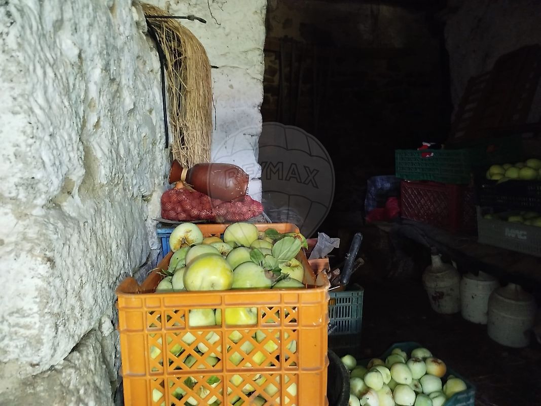 Moradia T6+ à venda em Tarouca e Dálvares, Tarouca — foto 38