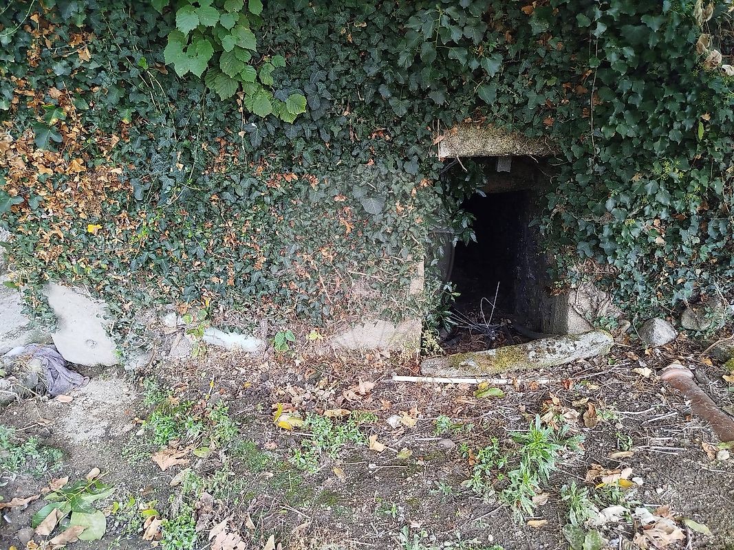 Moradia T6+ à venda em Tarouca e Dálvares, Tarouca — foto 27