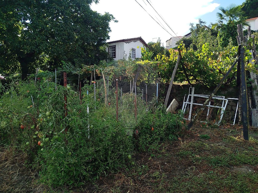 Moradia T6+ à venda em Tarouca e Dálvares, Tarouca — foto 26