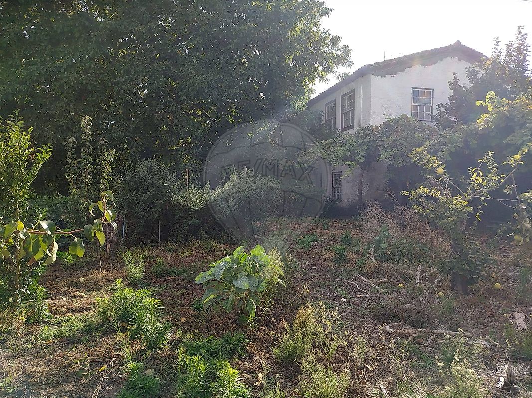 Moradia T6+ à venda em Tarouca e Dálvares, Tarouca — foto 25