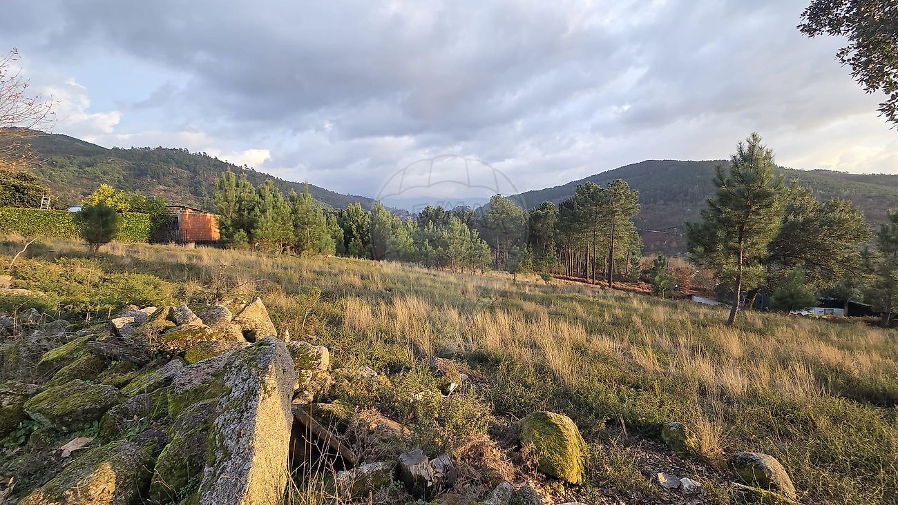 Terreno - Campanhó e Paradança, Mondim de Basto, Vila Real