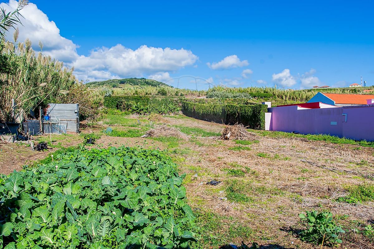 Moradia T3 à venda em Horta (Angústias), Horta — foto 18