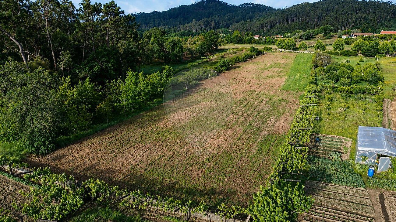 Terreno - Perelhal, Barcelos, Braga