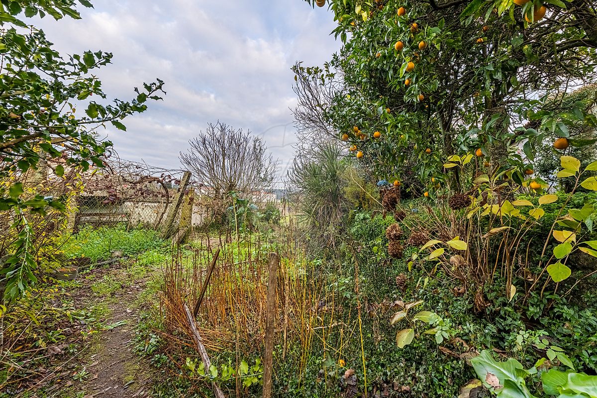 Moradia T4 à venda em Pereira, Barcelos — foto 21