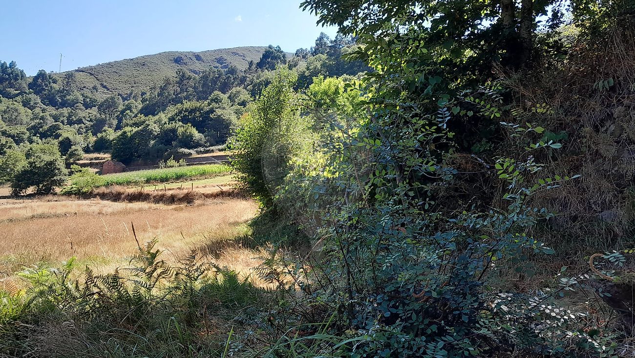 Moradia T0 à venda em Fiães, Melgaço — foto 17
