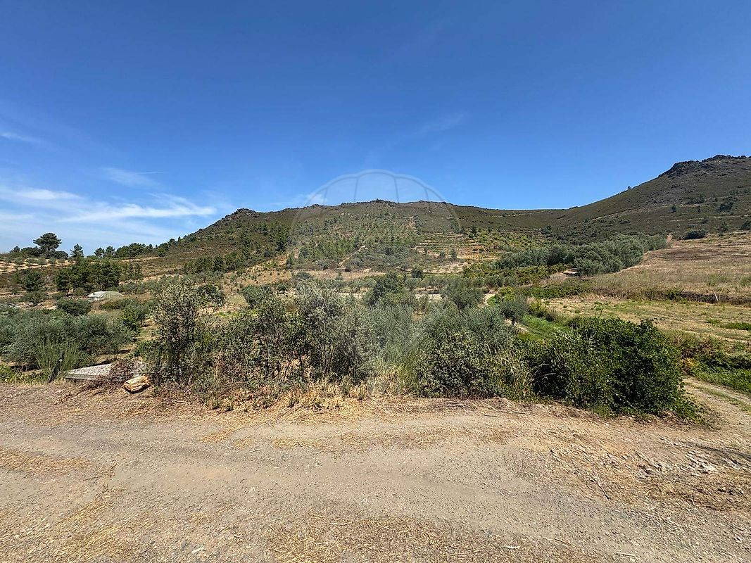 Terreno - Abreiro, Mirandela, Bragança