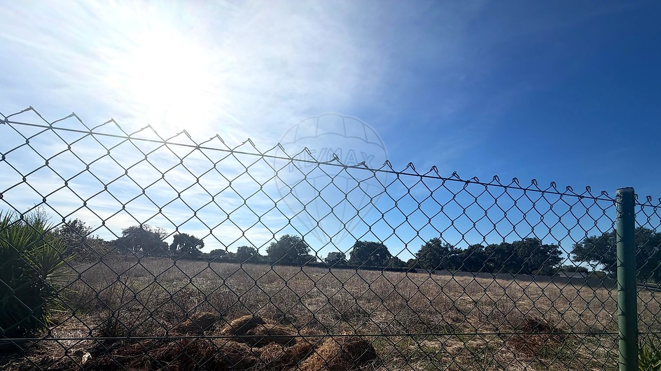 Moradia T3 à venda em Salvaterra de Magos e Foros de Salvaterra, Salvaterra de Magos — foto 30